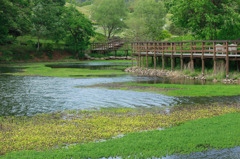 満濃公園
