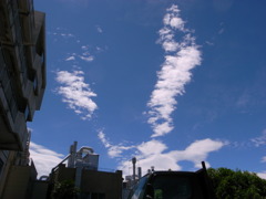 本日の僅かな晴れ間