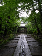 寿福寺