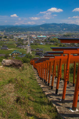 新緑と鳥居