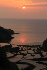 浜野浦の棚田　１