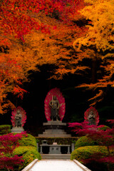 不動明王と紅葉