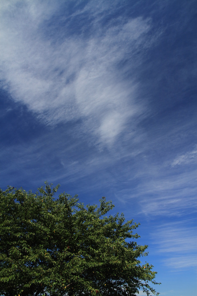 夏空