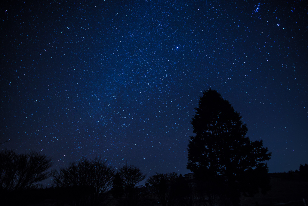 年末の星空