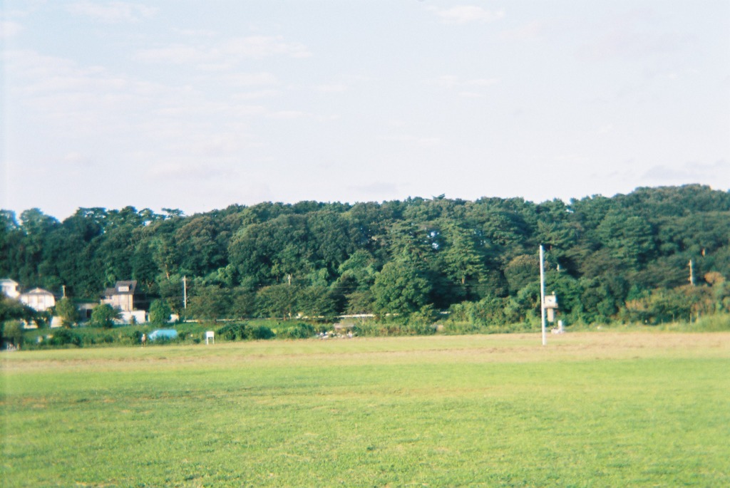 多摩川林