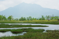 尾瀬の風景