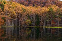 夕刻の御射鹿池