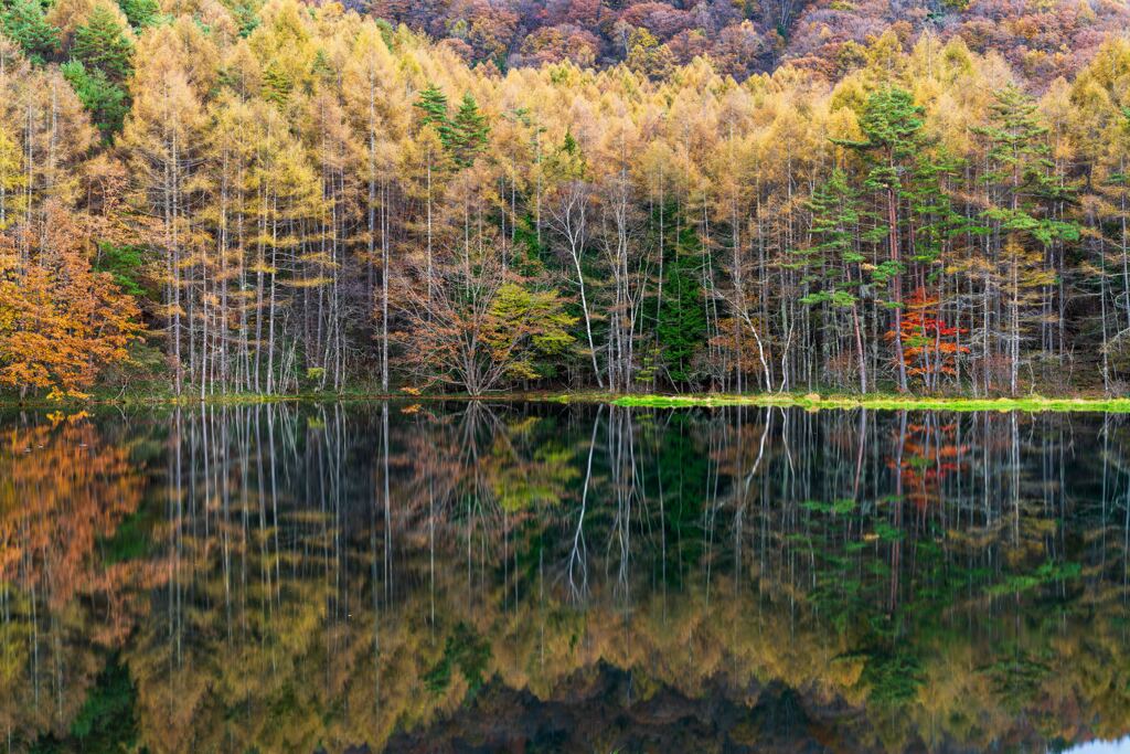 夕刻の御射鹿池