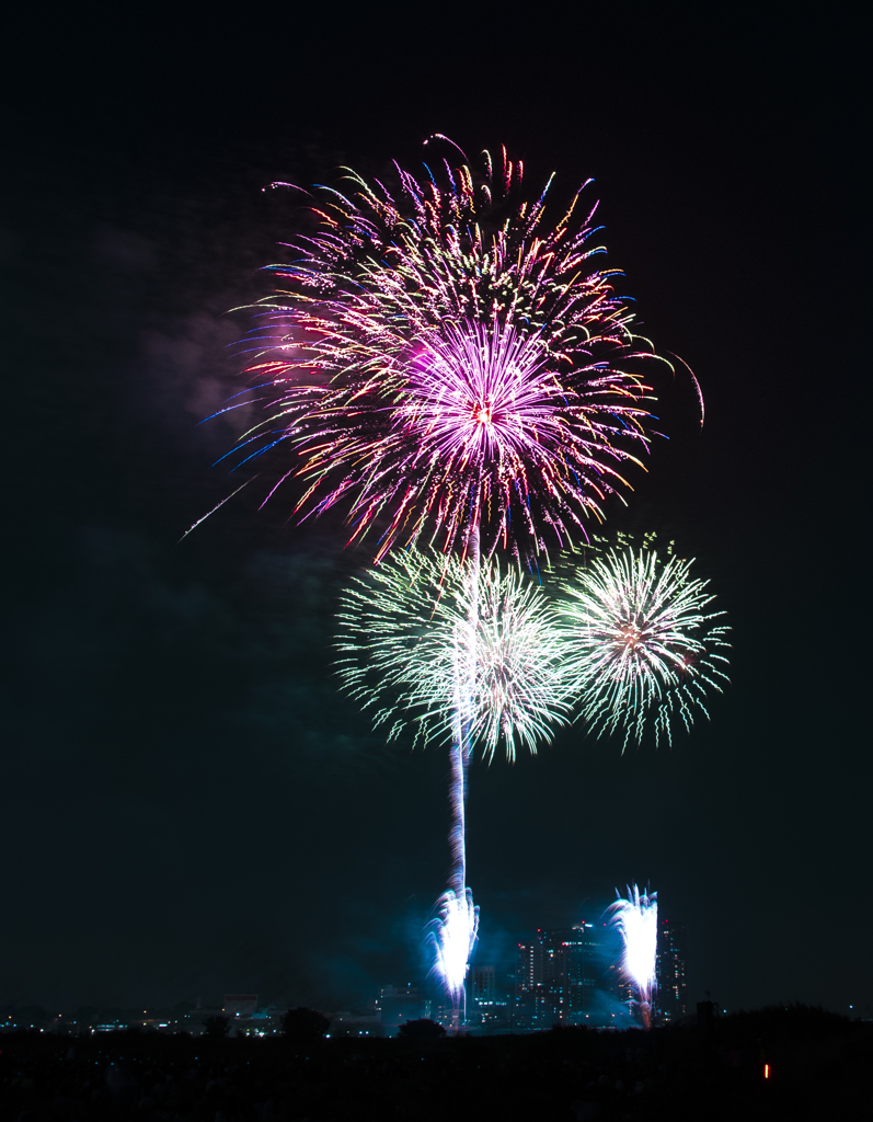 _IMG16462015