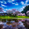 桜と飯給駅