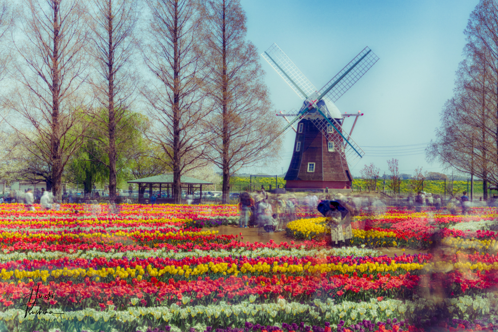 あけぼの山農業公園