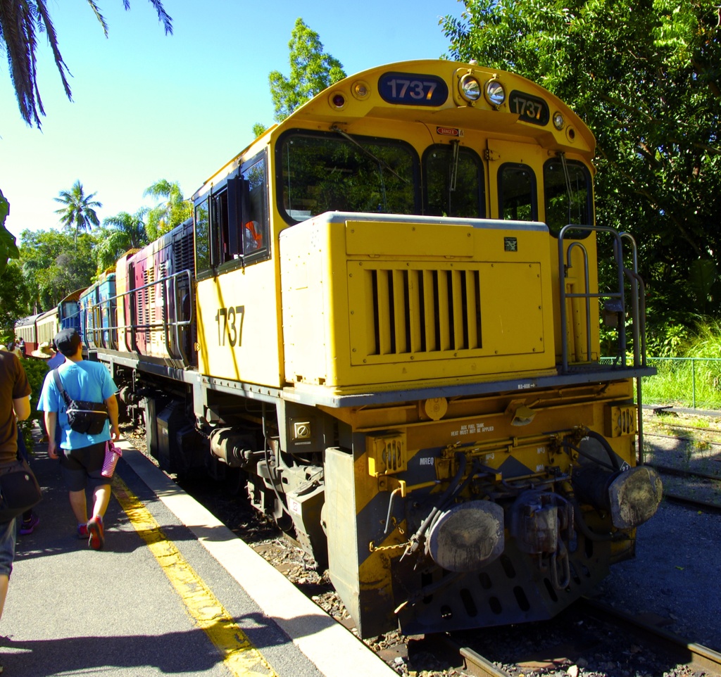 IMGP0273