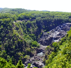 IMGP0242