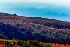 紅葉の栗駒山
