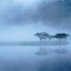 霧の覚満淵