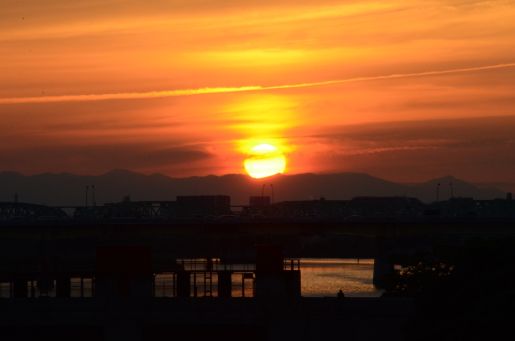 黄身