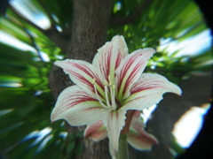 DSCF0349