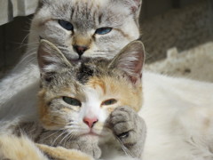 はいはい!カメラに向かって良いお顔しましょう
