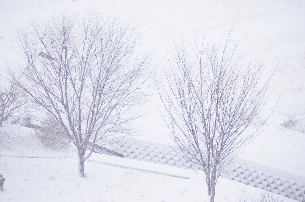 雪