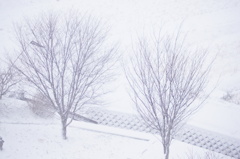 雪