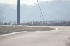 道