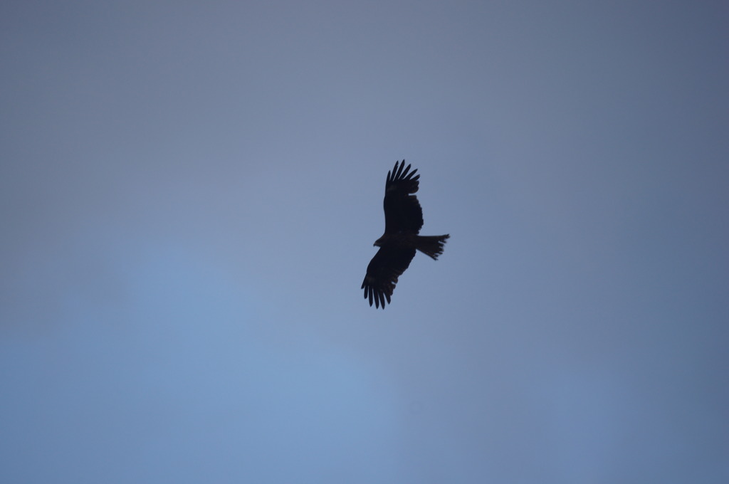 空