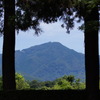 圓通寺