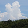 雲