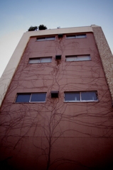 セイメイリョク