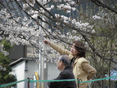 夫婦