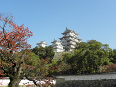 城