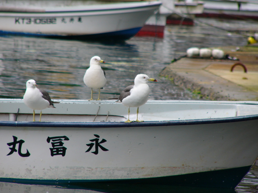 右向け右