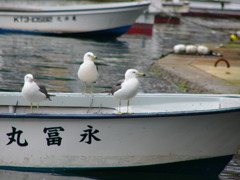 右向け右