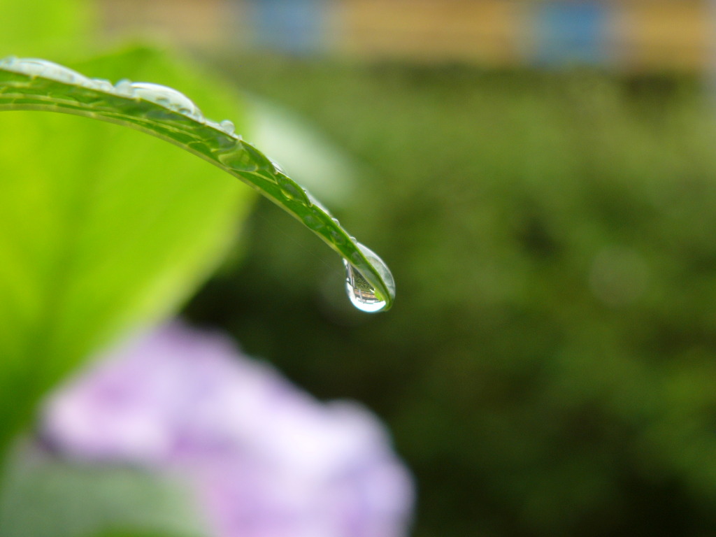 waterinworld