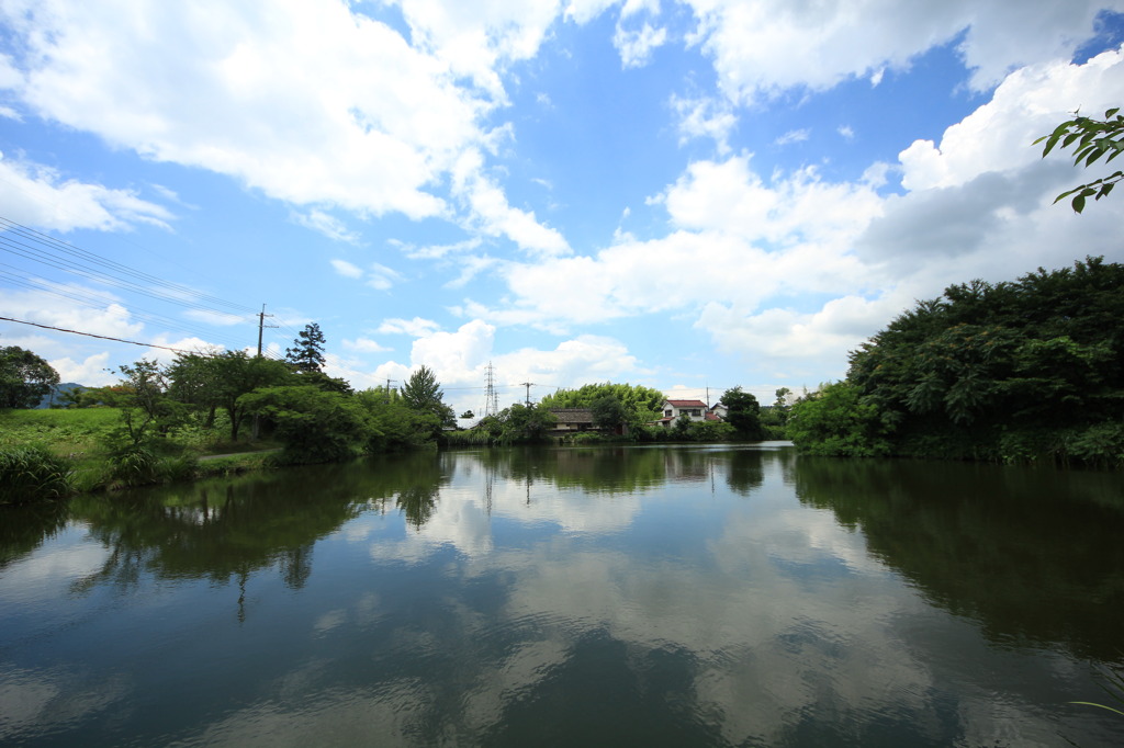 夏本番