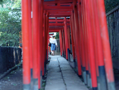 乙女稲荷神社