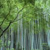 瑞泉寺