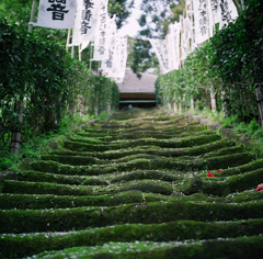 杉本寺