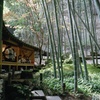 報国寺