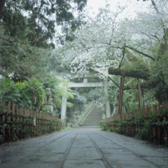 赤坂氷川神社