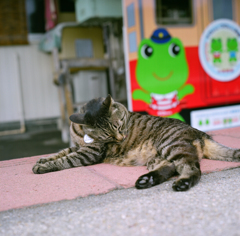 養老渓谷駅