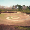 昭和記念公園