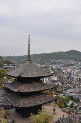 尾道