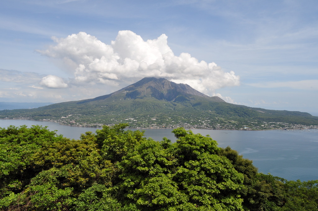 桜島1