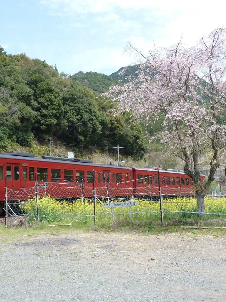 いさぶろうの春