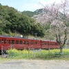 いさぶろうの春