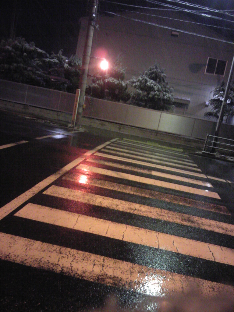 雨の歩道