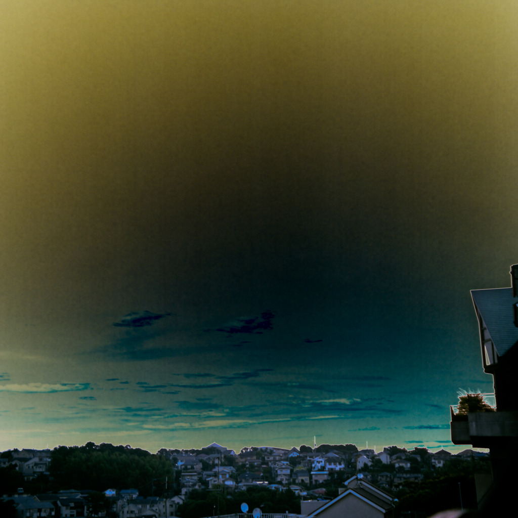 IMG-4
