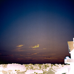 IMG-3