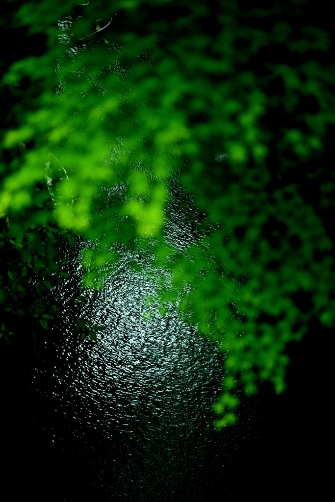 水面